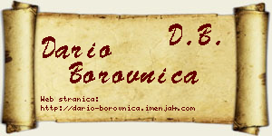 Dario Borovnica vizit kartica